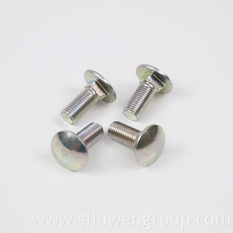 Ss304 Carriage Bolt Bolt